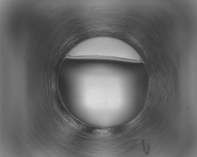 X0000060260170200510281018