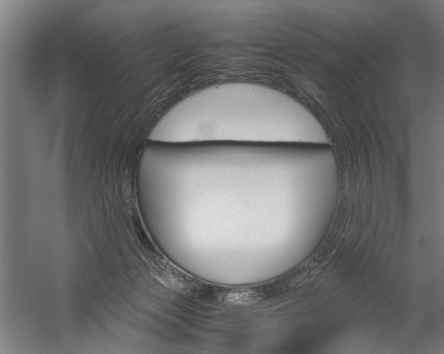 X0000060260173200510281018