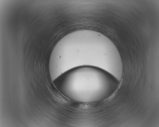 X0000060260174200510281018