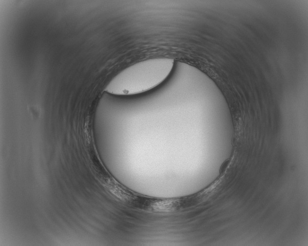 X0000060260178200510281018