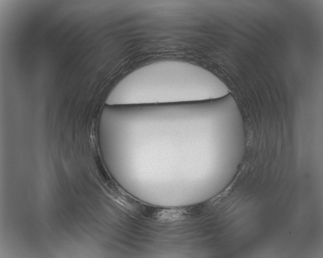 X0000060260179200510281018