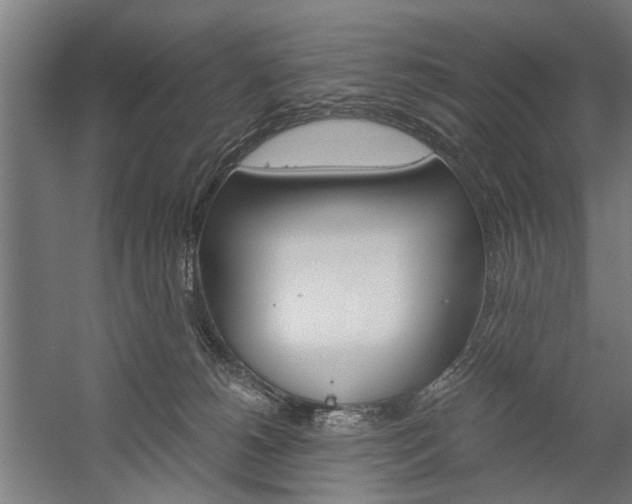 X0000060260180200510281018