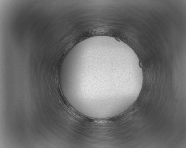 X0000060260181200510281018