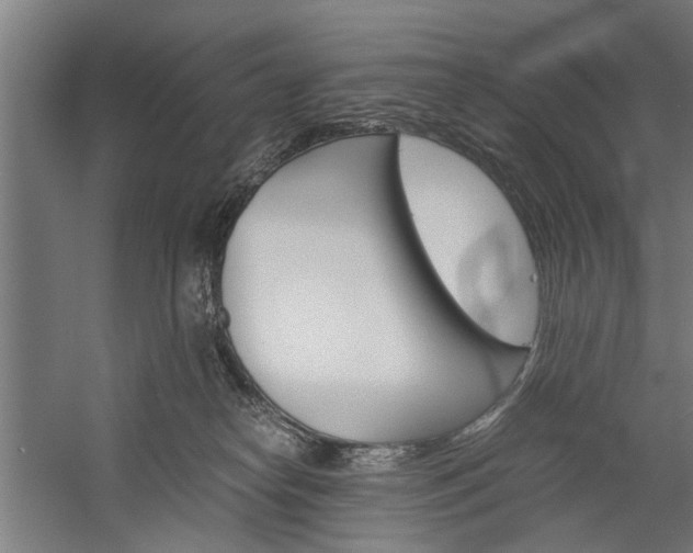 X0000060260182200510281018