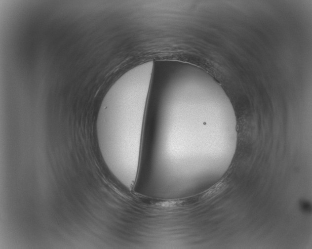 X0000060260184200510281018