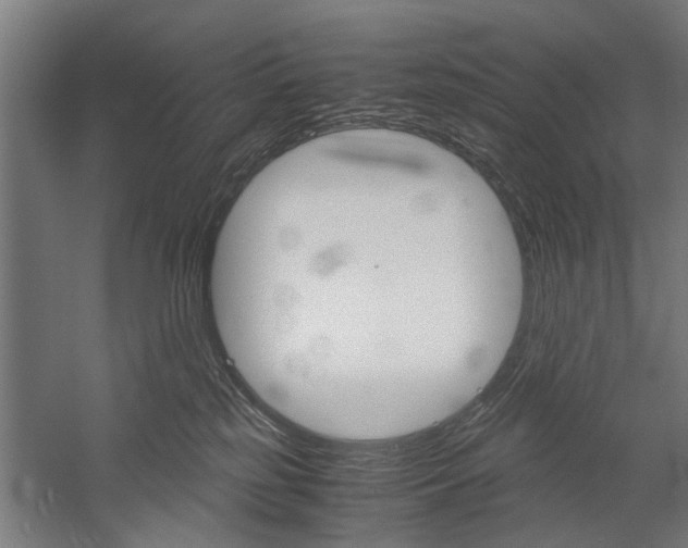 X0000060260185200510281018