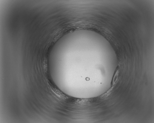 X0000060260186200510281018