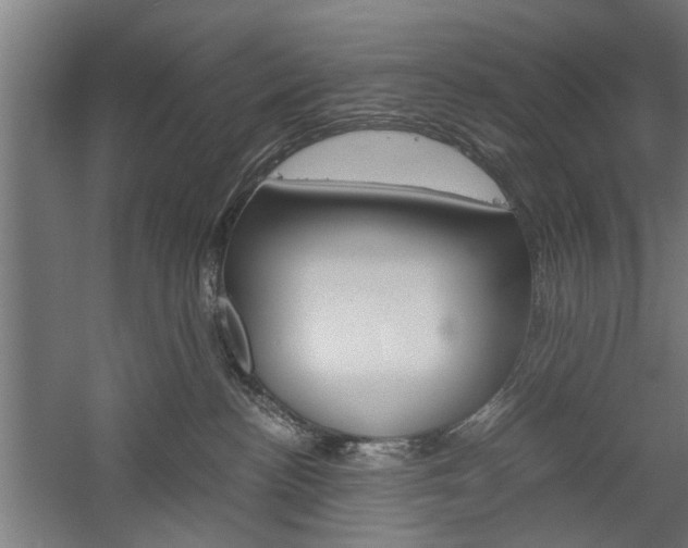 X0000060260188200510281018