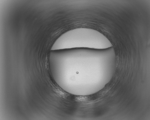 X0000060260189200510281018