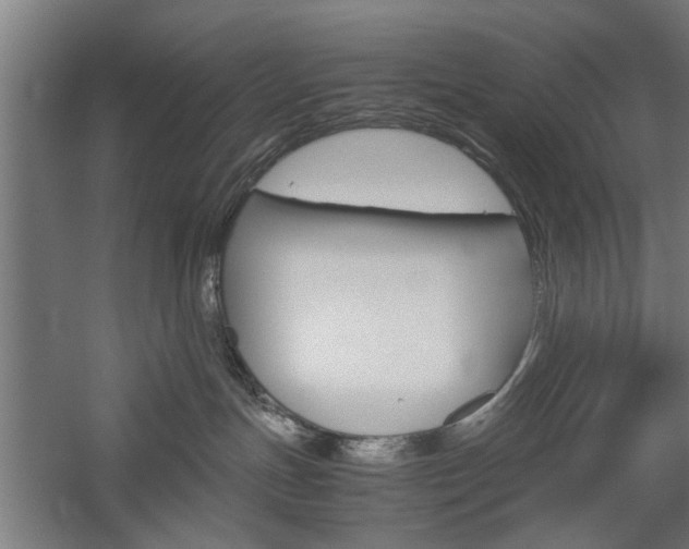 X0000060260191200510281018