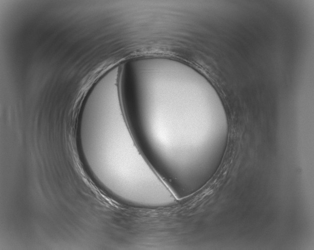 X0000060260193200510281018