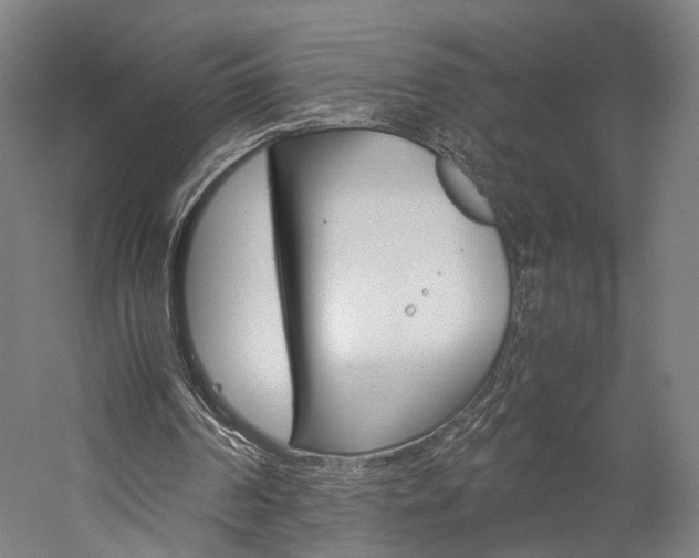 X0000060260194200510281018