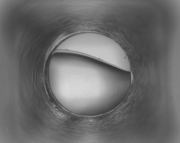 X0000060260195200510281018