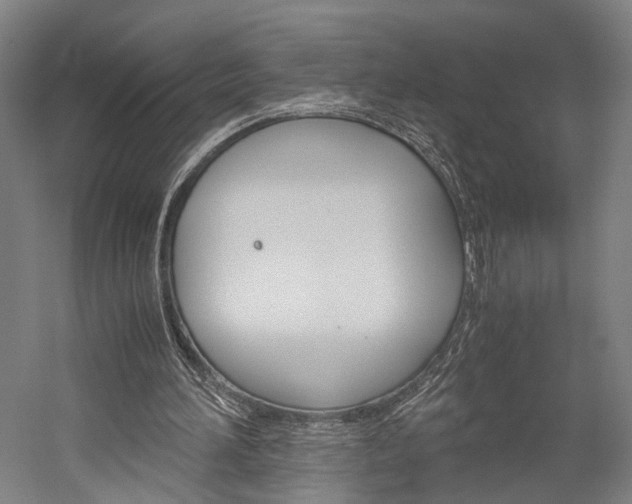 X0000060260196200510281018