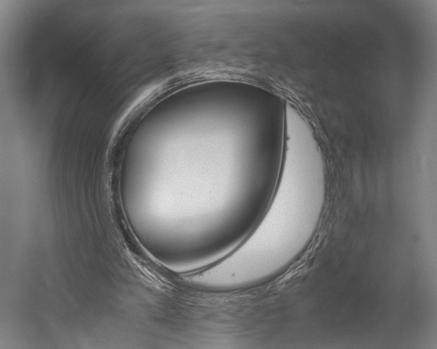 X0000060260197200510281018