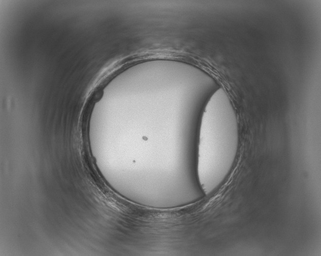 X0000060260198200510281017