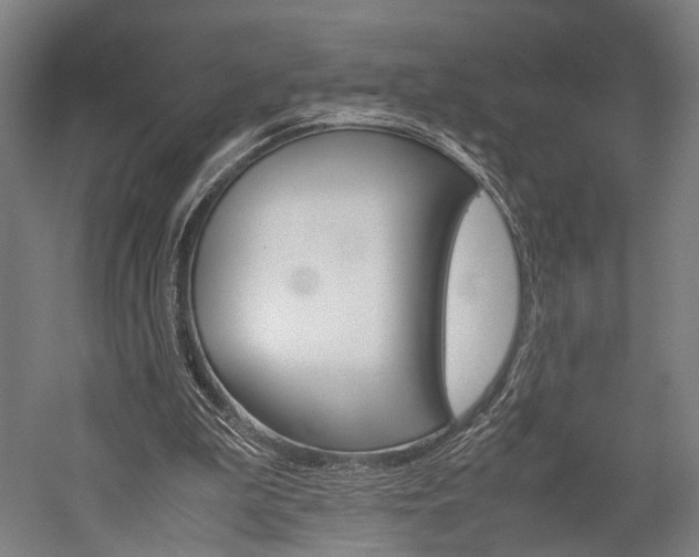 X0000060260199200510281017