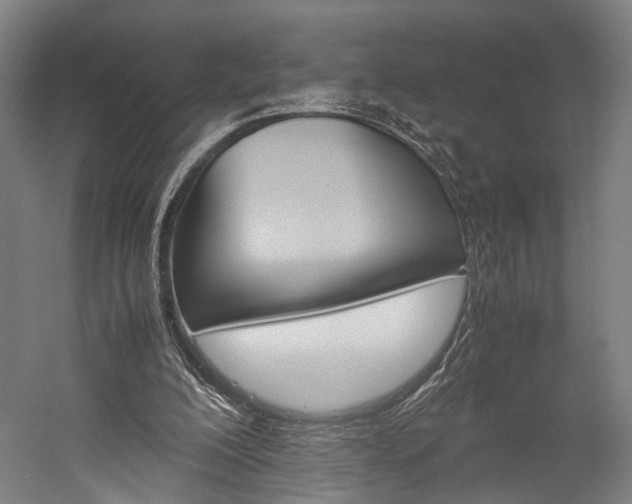 X0000060260200200510281017