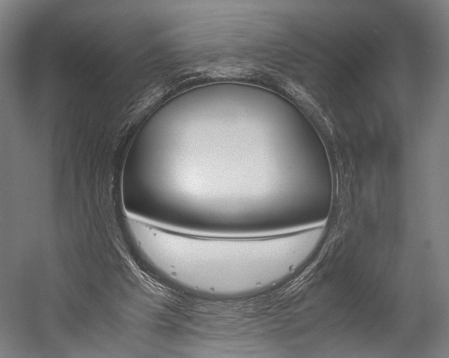 X0000060260201200510281017