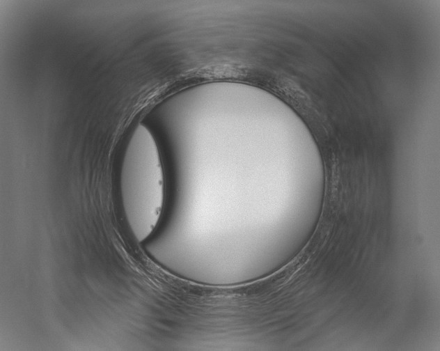 X0000060260202200510281017