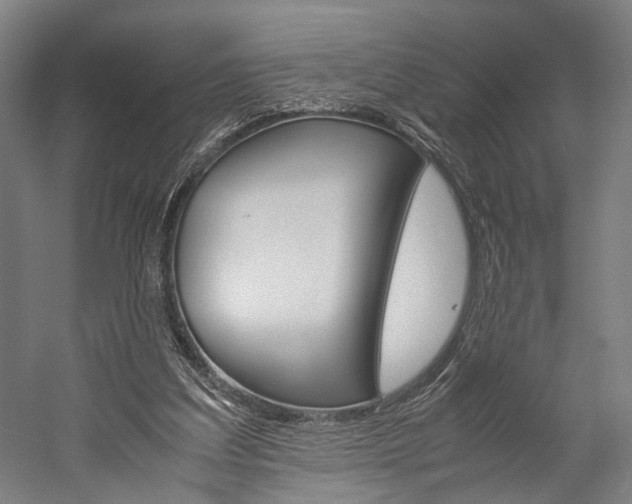 X0000060260203200510281017