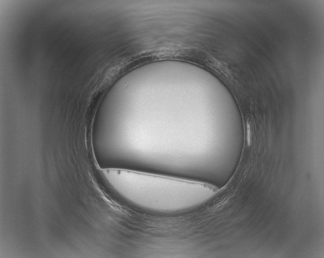 X0000060260205200510281017