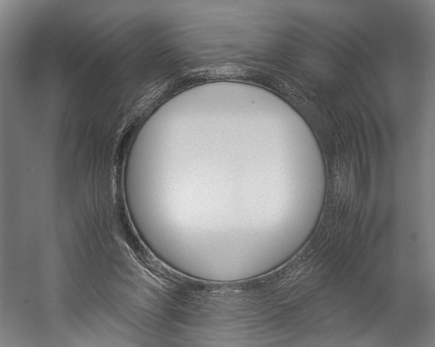 X0000060260206200510281017