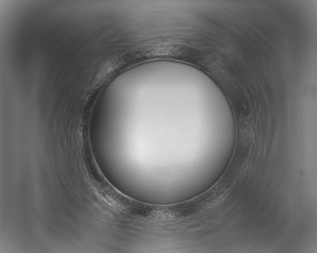 X0000060260207200510281017