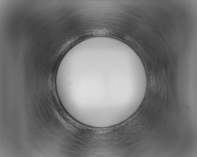 X0000060260208200510281017