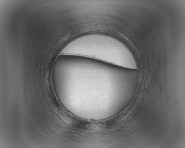 X0000060260209200510281017