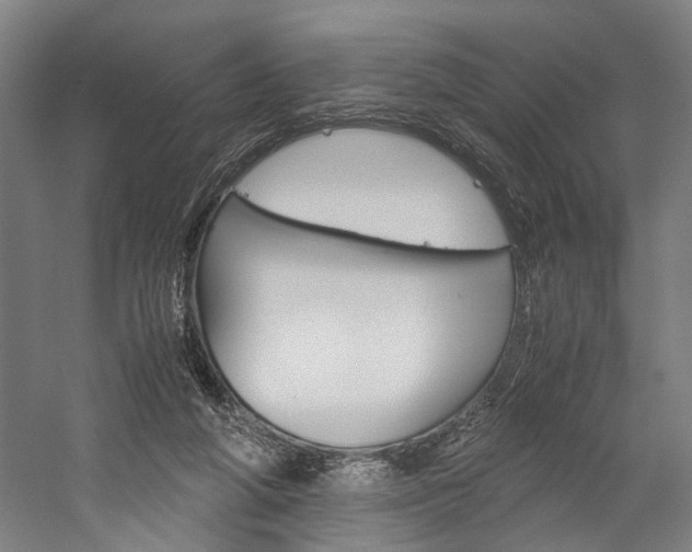 X0000060260210200510281017