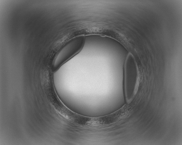 X0000060260211200510281017