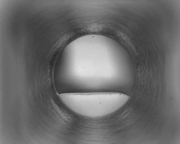 X0000060260212200510281017