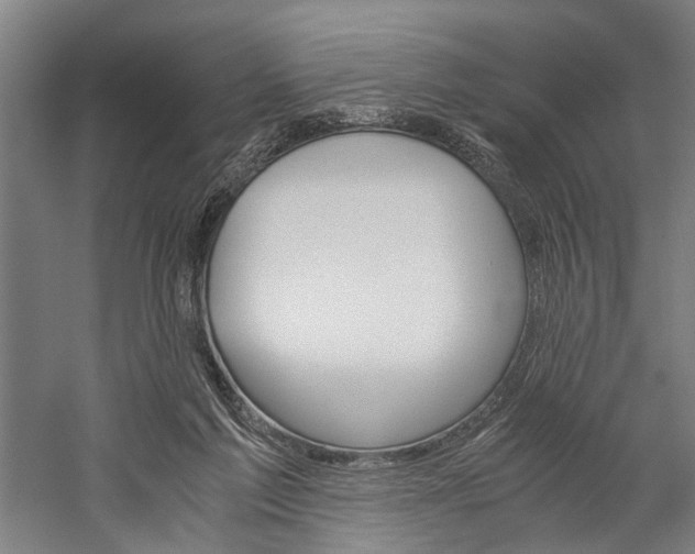 X0000060260213200510281017