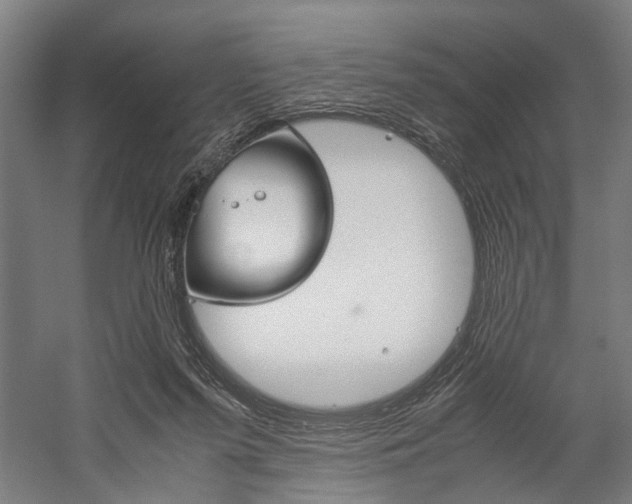 X0000060260215200510281017