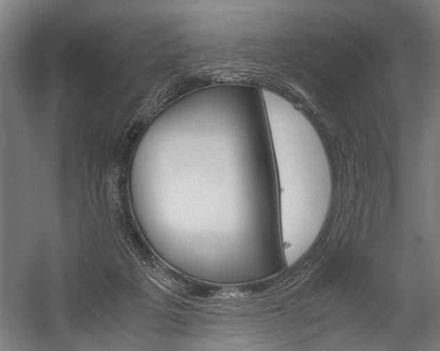 X0000060260217200510281017