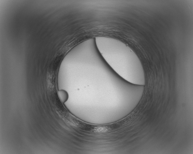 X0000060260218200510281017