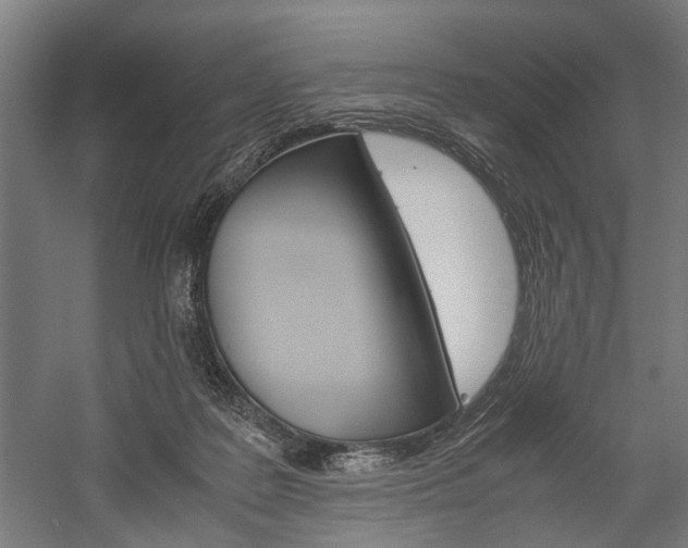 X0000060260219200510281017