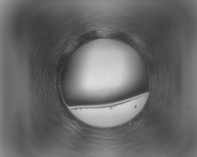 X0000060260221200510281017