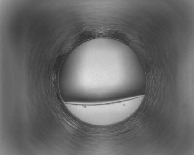 X0000060260225200510281017