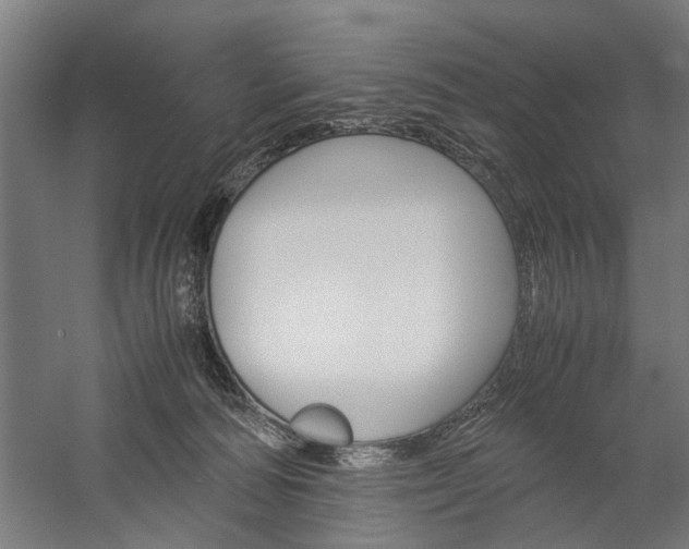 X0000060260226200510281017