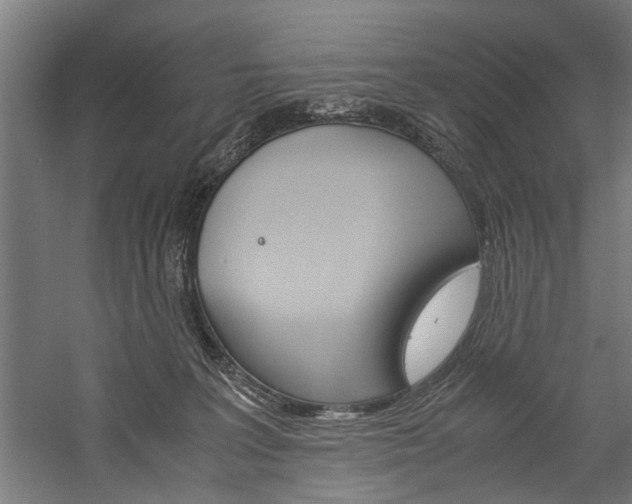 X0000060260227200510281017