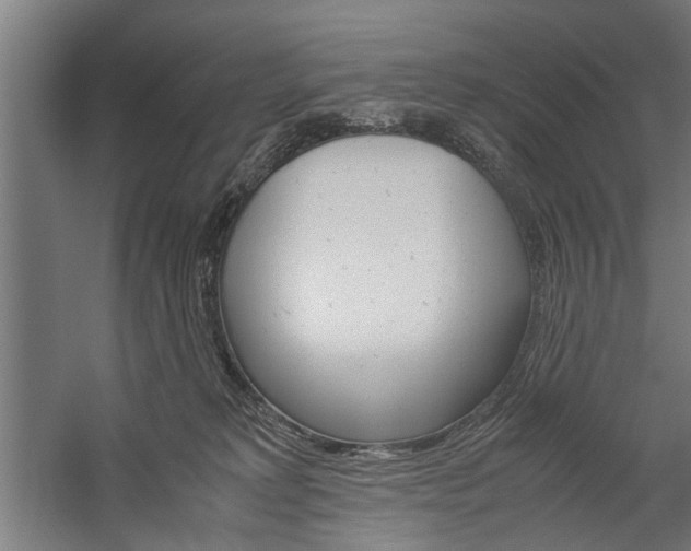 X0000060260229200510281017