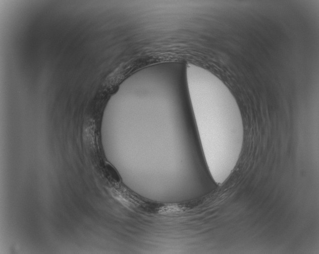 X0000060260231200510281017