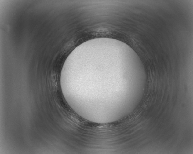 X0000060260232200510281017