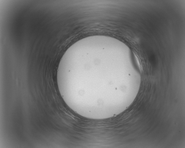 X0000060260233200510281017