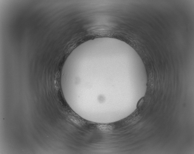 X0000060260234200510281017