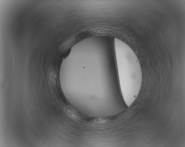 X0000060260235200510281017