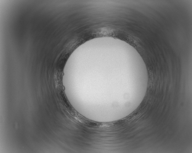 X0000060260236200510281017