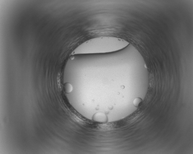 X0000060260238200510281017